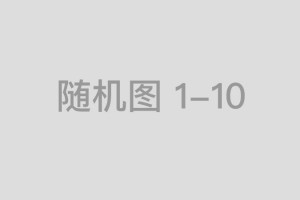 大破大立打一精准生肖、标准准确解释落实